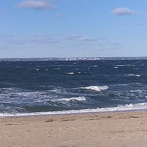 Meet your Posher, Laurie